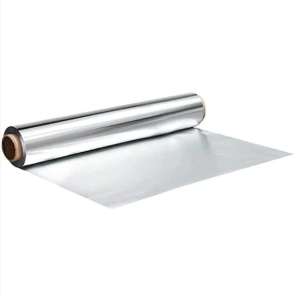 Educational Globe by Replogle 