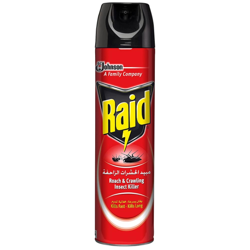 Educational Globe by Replogle 