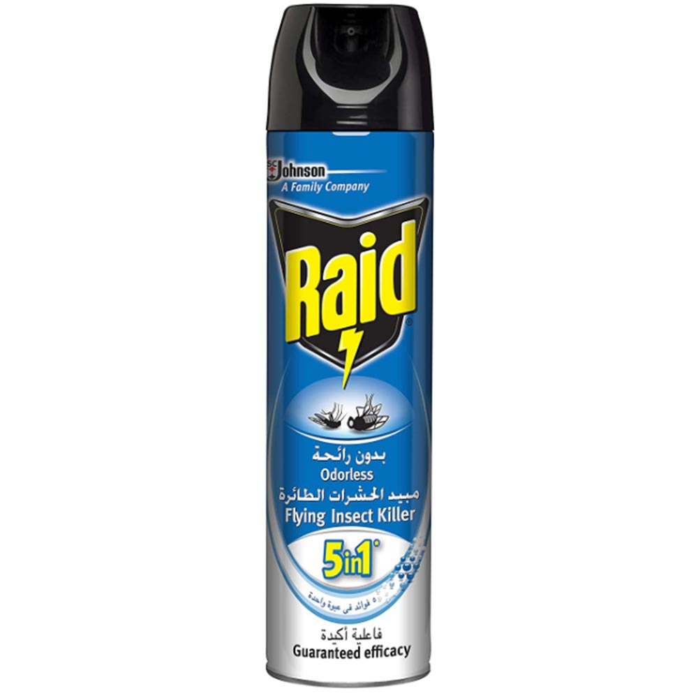 Educational Globe by Replogle 