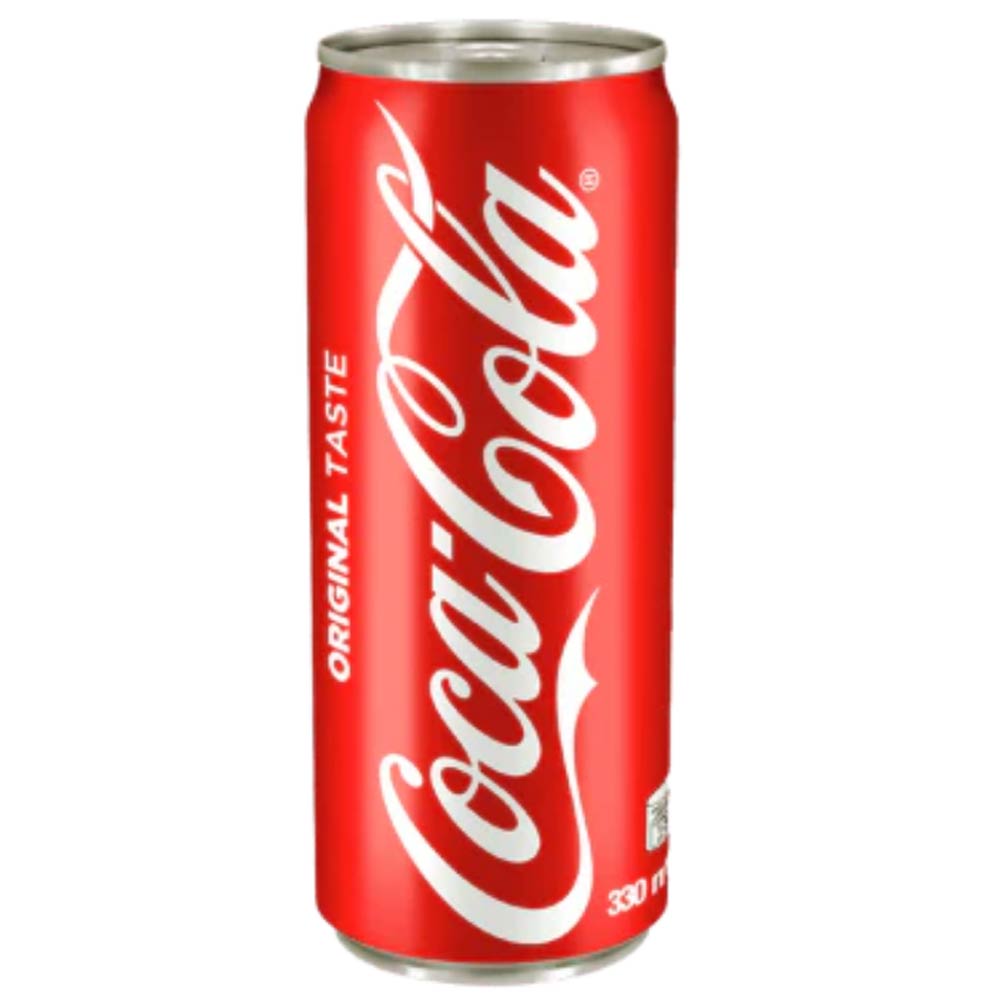 Educational Globe by Replogle 