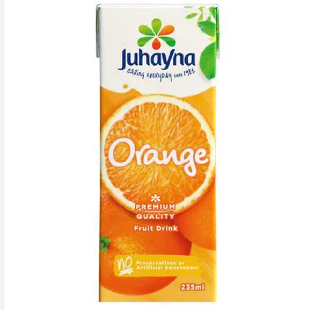 Educational Globe by Replogle 