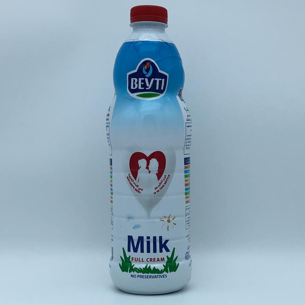 Educational Globe by Replogle 