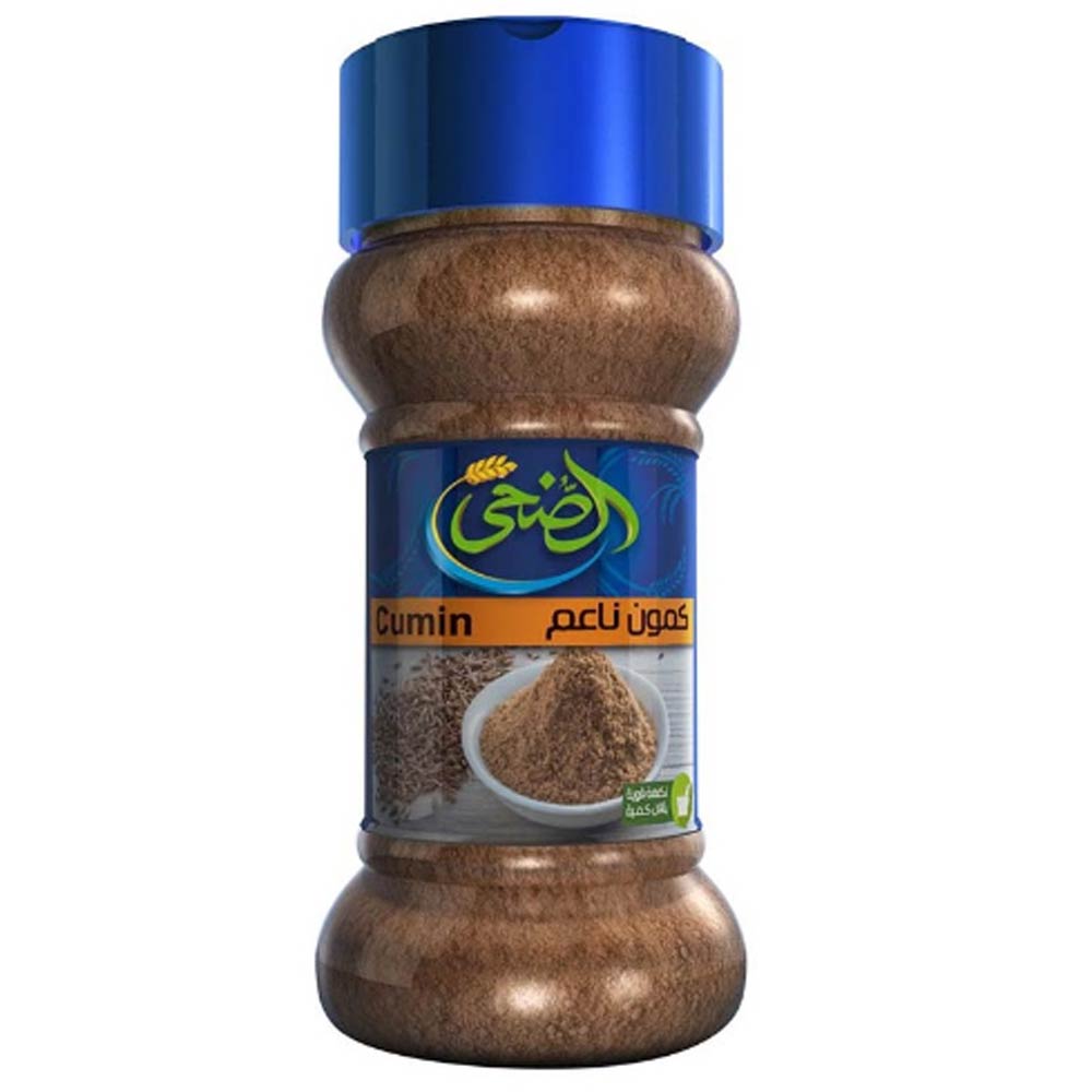 Educational Globe by Replogle 