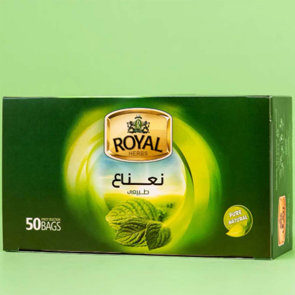 Educational Globe by Replogle 